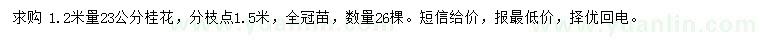 求購1.2米量23公分桂花