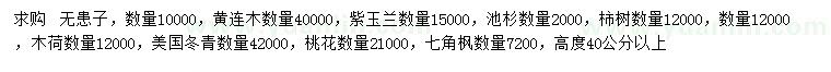 求購無(wú)患子、黃連木、紫玉蘭等