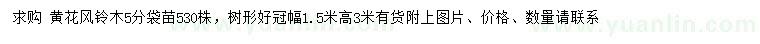 求購5公分黃花風鈴木袋苗530株