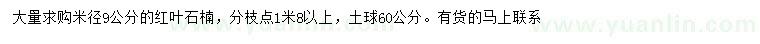 求購(gòu)米徑9公分紅葉石楠