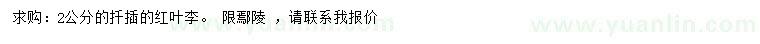 求購(gòu)2公分扦插紅葉李