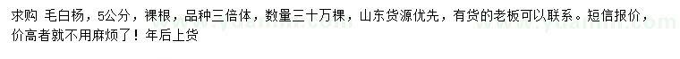 求購5公分毛白楊