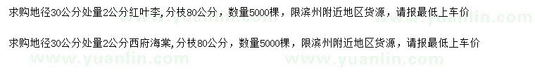 求購30公分量2公分紅葉李、西府海棠