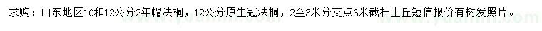 求購10、12公分法桐