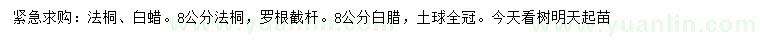 求購8公分法桐、白蠟
