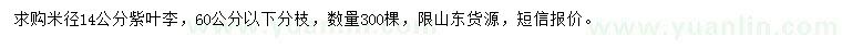 求購米徑14公分紫葉李