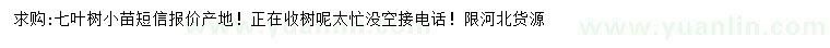 求購(gòu)七葉樹小苗