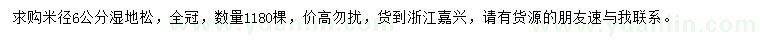 求購(gòu)米徑6公分濕地松