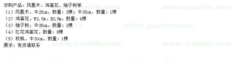 求購鳳凰木、雞蛋花、柚子樹等