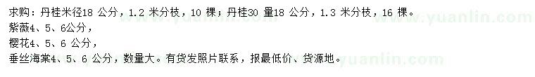 求購丹桂、紫薇、櫻花等