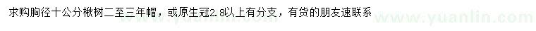 求購胸徑10公分楸樹(shù)