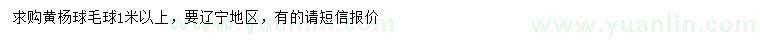 求購冠1米以上黃楊球毛球