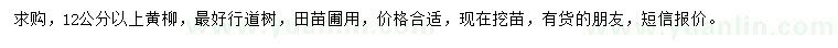 求購12公分以上黃柳