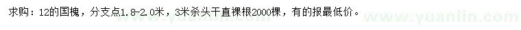 求購12公分國槐