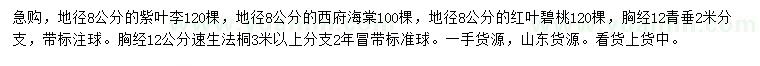 求購(gòu)紫葉李、西府海棠、紅葉碧桃等