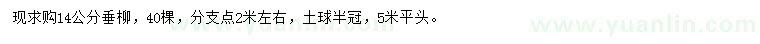 求購14公分垂柳