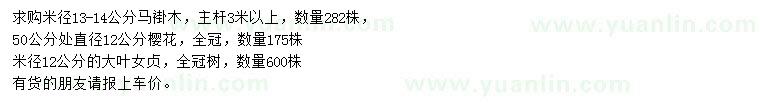 求購(gòu)馬褂木、櫻花、大葉女貞