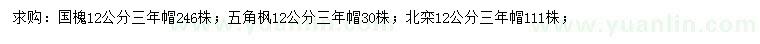 求購國槐、五角楓、北欒