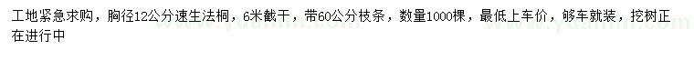 求購胸徑12公分速生法桐
