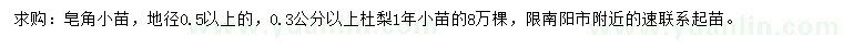 求購地徑0.5公分以上皂角小苗、0.3公分以上杜梨小苗