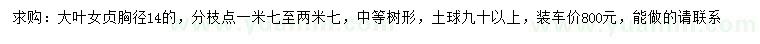 求購胸徑14公分大葉女貞