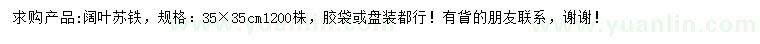 求購(gòu)35公分闊葉蘇鐵