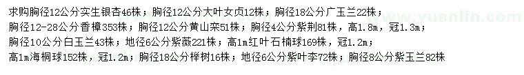 求購銀杏、大葉女貞、廣玉蘭等