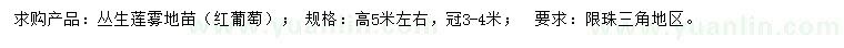求購高5米叢生蓮霧苗