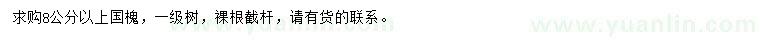 求購8公分以上國槐