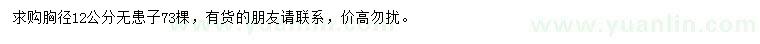 求購胸徑12公分無患子