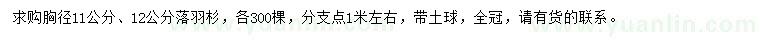 求購胸徑11、12公分落羽杉