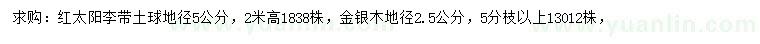 求購地徑5公分紅太陽李、2.5公分金銀木