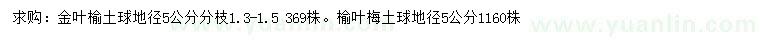 求購地徑5公分金葉榆、榆葉梅
