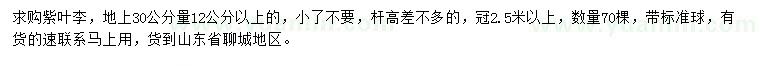 求購30公分量12公分以上紫葉李