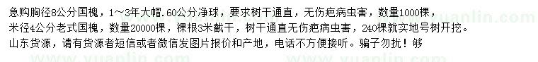 求購胸徑8公分國槐、米徑4公分老式國槐