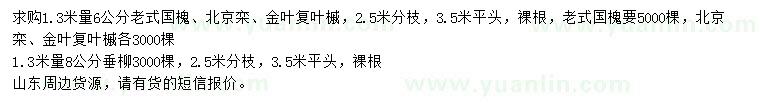 求購老式國槐、北京欒、金葉復(fù)葉槭等