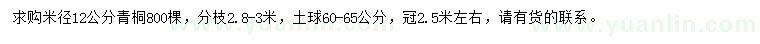 求購米徑12公分青桐