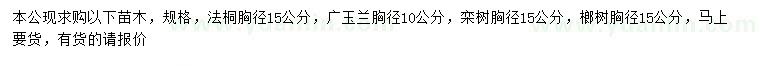 求購法桐、廣玉蘭、欒樹等