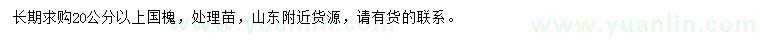 求購20公分以上國槐