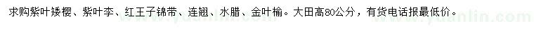 求購紫葉矮櫻、紫葉李、紅王子錦帶等