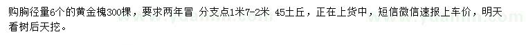 求購胸徑6公分黃金槐