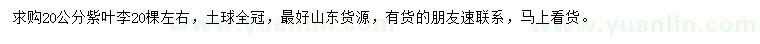 求購20公分紫葉李