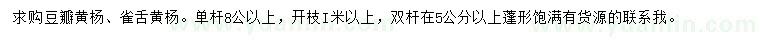 求購(gòu)豆瓣黃楊、雀舌黃楊