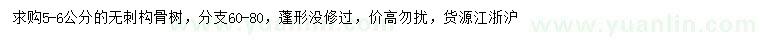 求購5-6公分無刺構(gòu)骨樹
