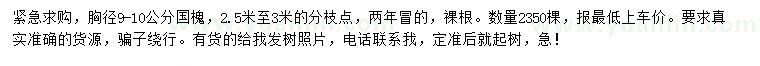 求購(gòu)胸徑9-10公分國(guó)槐