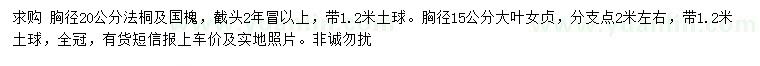 求購(gòu)法桐、國(guó)槐、大葉女貞