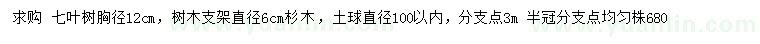 求購胸徑12公分七葉樹