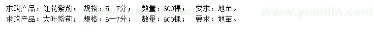 求購5-7公分紅花紫荊、6-7公分大葉紫荊