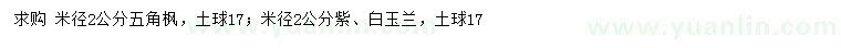 求購米徑2公分五角楓、紫白玉蘭