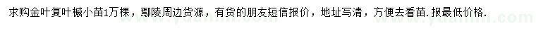 求購金葉復(fù)葉槭小苗